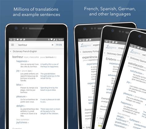lingnex translation.